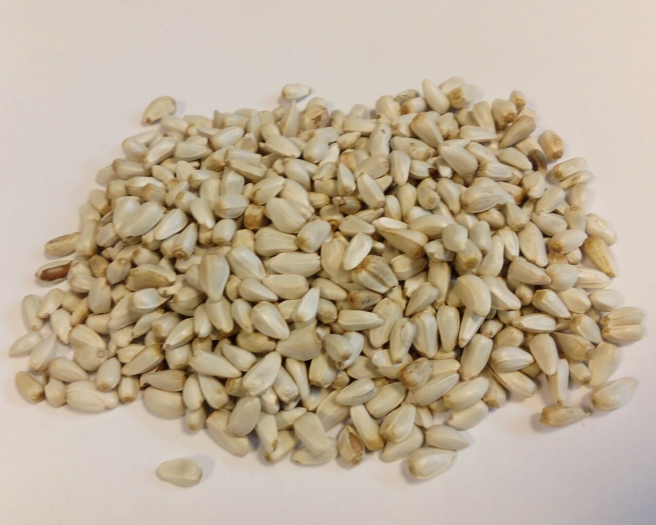 Eurital Kardi, Kardisaat, Kardisamen 5 kg für Vögel und Wildvögel