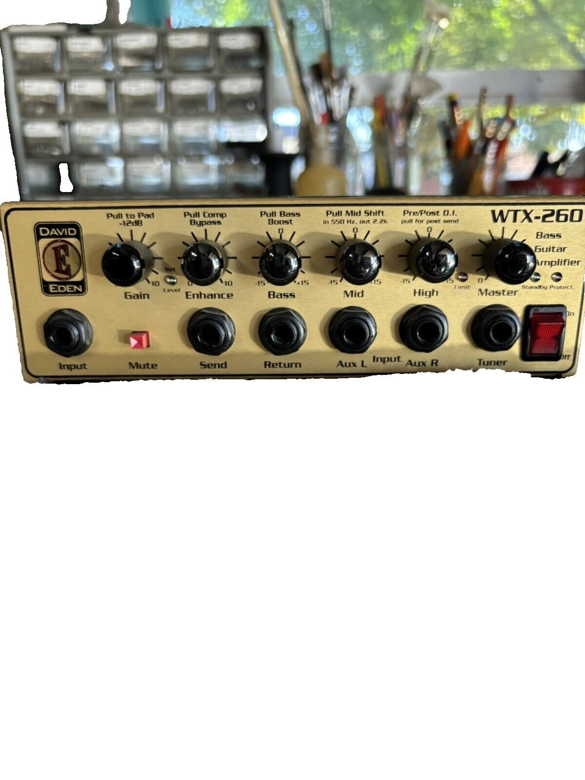 Eden Head Guitar Amplifiers