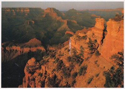 GRAND CANYON NATIONALPARK ~ GEBRAUCHT ~ VERSCHICKT ~ POSTDATUM AUF KARTE 2000