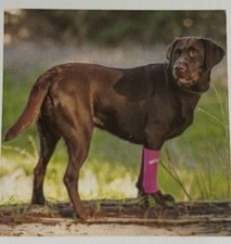 WalkABout Dog Canine Brace Compression Sleeve Large, Black