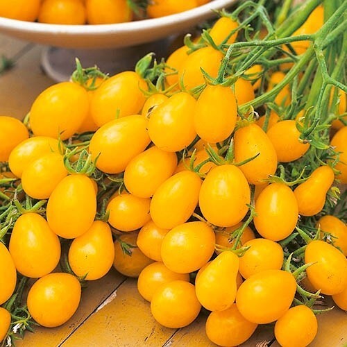 Seeds Yellow Cherry Tomato SUPER SWEET Rare non-GMO Vegetable Organic Heirloom