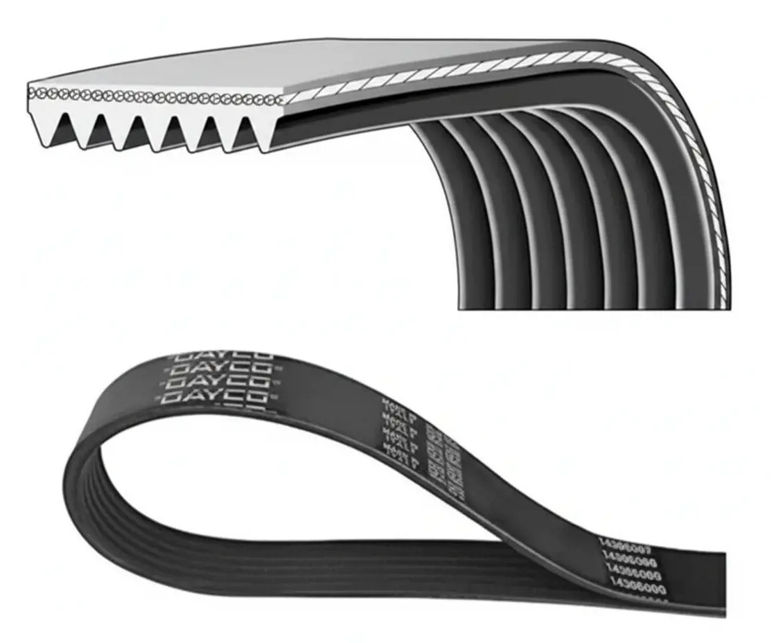 DAYCO 7PK1085S Cinghia Poly-V - Immagine 2