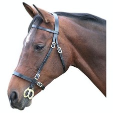 Blenheim - Bridon à main pour chevaux (ER753)