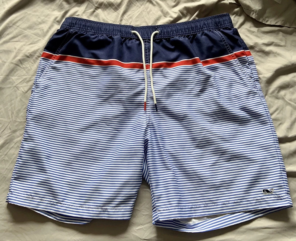 Mens swim shorts hot sale target