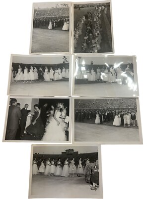 7 Alpha Phi Sorority Photos Large Event Stadium Graduation? 1950s Formal Gowns