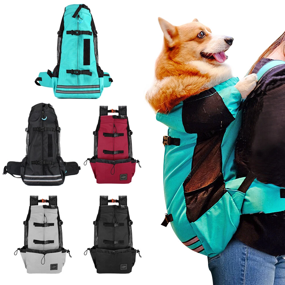 Top 176+ hilike pet travel bag best kidsdream.edu.vn