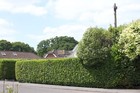 Bild 9 von 11