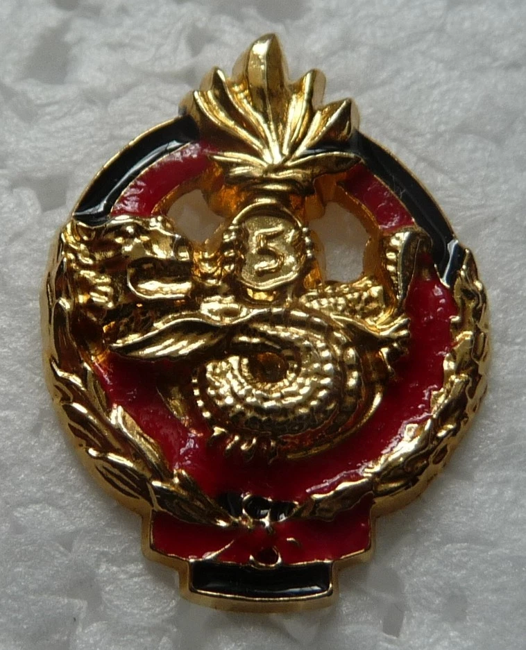 Ancienne Broche Militaire - Armée étrangère ? - Inscription "PRM" - Occasion