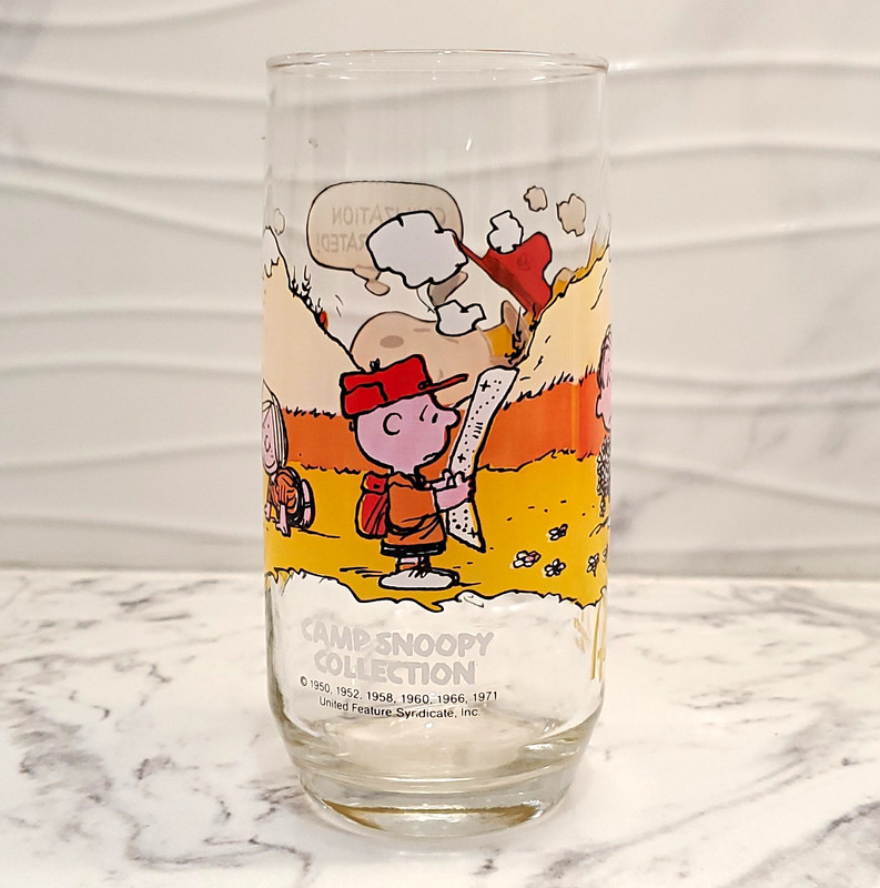 Vintage McDonald's 1971 Camp Snoopy Peanuts Character Glass Tumbler Cup Clear