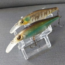 Hama Shad LR-T81SR/SF Hasu & Oi-kawa (Tsukakichi x Seen Palms)