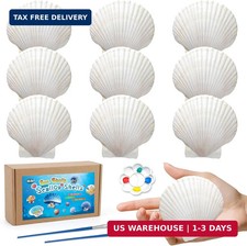 MORFEN 10 PCS Scallop Shells, Seashells for Crafts, 4''-5'' White Sea Shells for