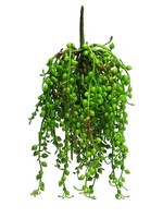 Artplants Kunststoff Senecio HäNger Ruian Auf Steckstab, GrüN, 25 Cm