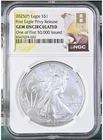 2025 (P) Silver Eagle With Eagle Privy NGC GEM Uncirculated - First 50K Issued