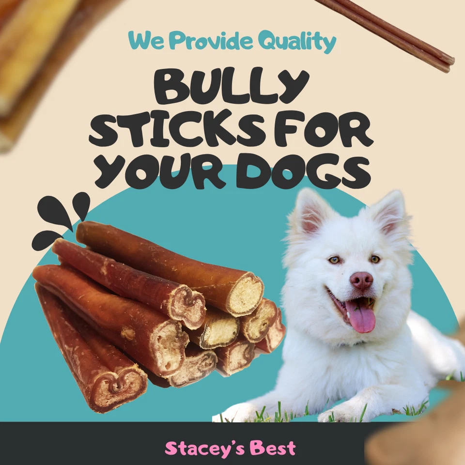 6" pulgadas EXTRA GRUESAS BULLY STICKS natural perro mastica golosinas aprobadas por el USDA y la FDA Foto 2 de 4