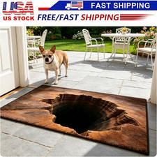 1/2x Design 3D Rugs Optical Illusion Hole For Door Entrance Bath and Stair Zones