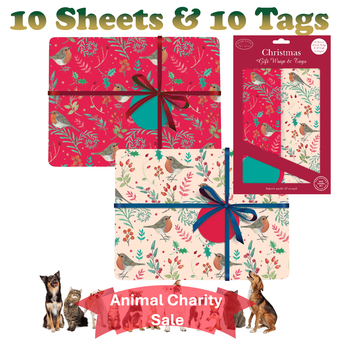 Christmas Wrapping Paper - Wintery Robins - Sale For Our Animal Charity