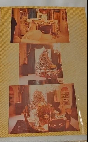 Elvis Presley Authentic Photographs- RARE- FUNERAL, NIXON, HOME-set of 21 - Picture 9 of 12