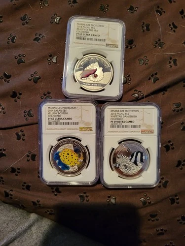 2014-15 Palau S$5 Marine Life Protection 3 Coin Set NGC PR69 See Photos