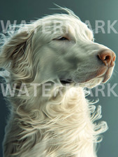 Digital Photo Image Dog Golden Retriever Picture AI Art Wallpaper Photograph