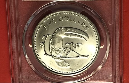 BELIZE-1976-FM-UNCIRCULATED $5 COIN.GRADED BY PCGS MS65…………..LOW MINTAGE - 第 4/4 張圖片