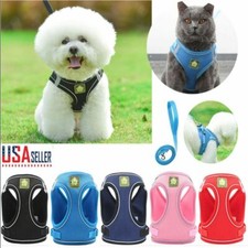 Pet Puppy Harness Breathable Mesh And Leash Set Vest Chest Strap Small Dog USA