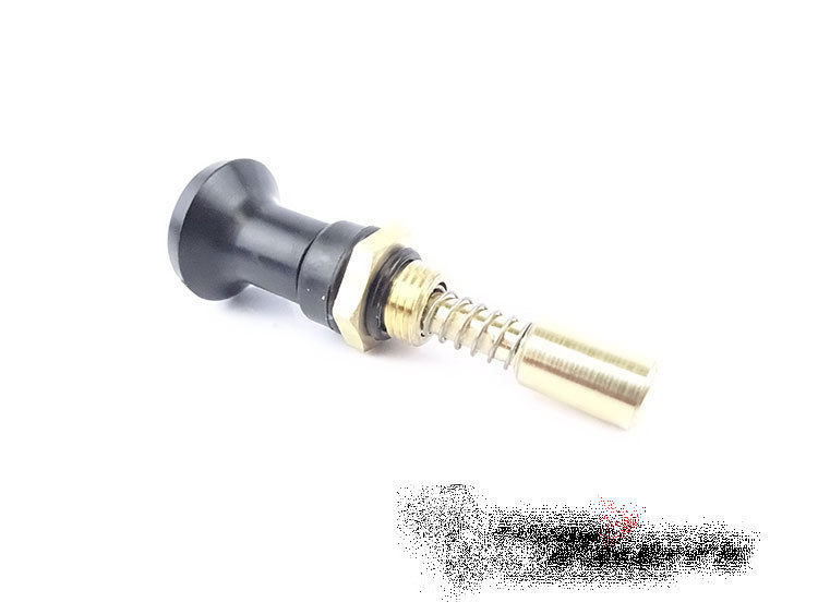 キク丸 s-l1200.jpg