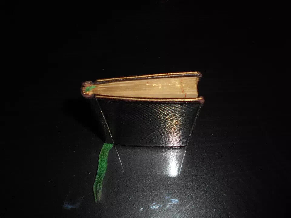 Picture 12 of 13
