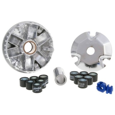 Variator Polini Hi-Speed Variomatik für Honda Zoomer/ Ruckus/ Metropolitan - Top