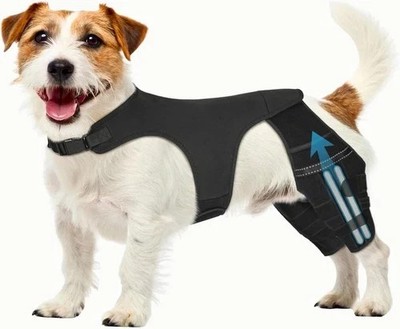 XS Dog Knee Brace for Torn ACL Hind Leg, Dog Leg Braces for Back Leg Support wit