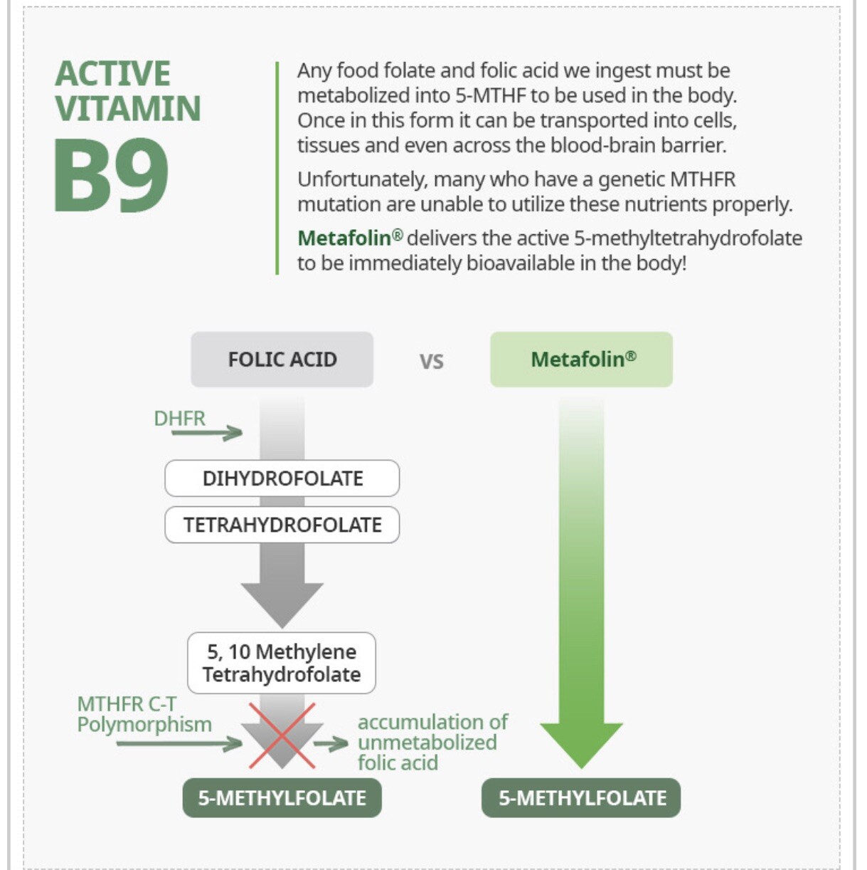 Atomy Vitamin B Complex Energy & Metabolism (450mg x 90 Capsules)Free