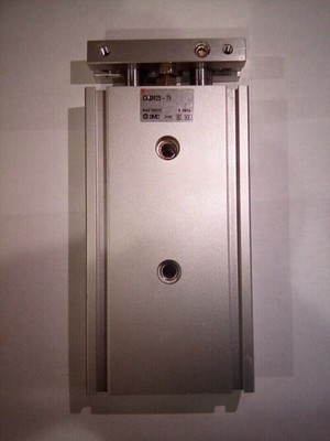 1PC NEW FOR SMC CXSM25-75 Dual axis cylinder