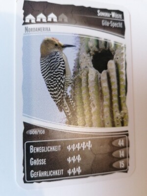 Sammelkarten Netto Ozeanien 4 Nr. 8 Sonora-Wüste Gila-Specht