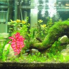 Foto 6 di 12