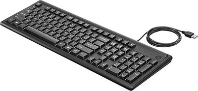 NEW OPEN BOX HP Keyboard 100 Clavier 100, USB Powered, Compatible with PC