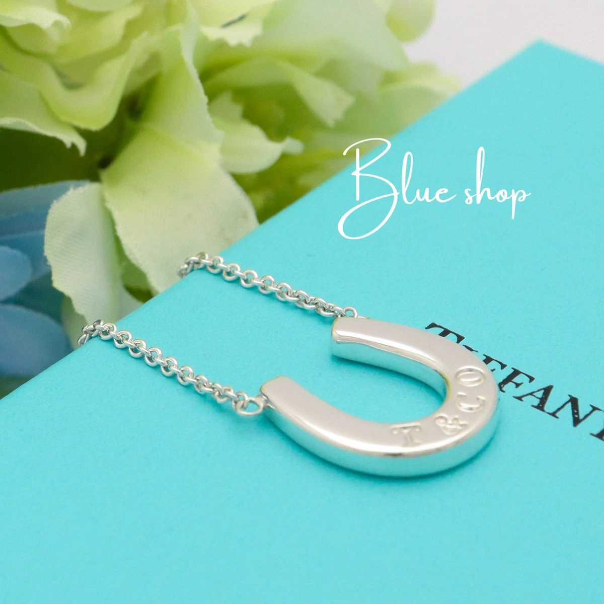 Tiffany & Co. Horseshoe Fine Necklaces & Pendants without Stone