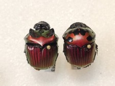 Phanaeus for collectors | Horned Rhinoceros Dung Beetles