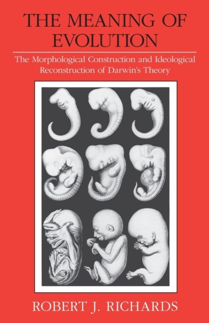 The Meaning of Evolution  The Morphological by Robert J Richards PAPERBACK