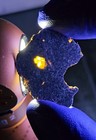 Gadamis 010 Angrite Meteorite 1.904g End Cut Green Crystal Rare COA — photo 8