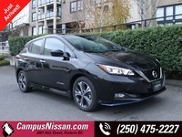 2019 Nissan LEAF SV PLUS
