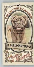2019 Allen and Ginter Collectible Canines Mini #CC-20 Bullmastiff