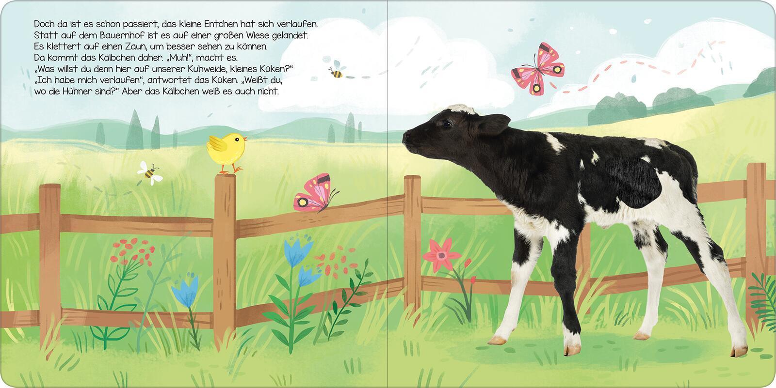 Thumbnail - Hör Mal, Kleines Küken Kathryn Selbert