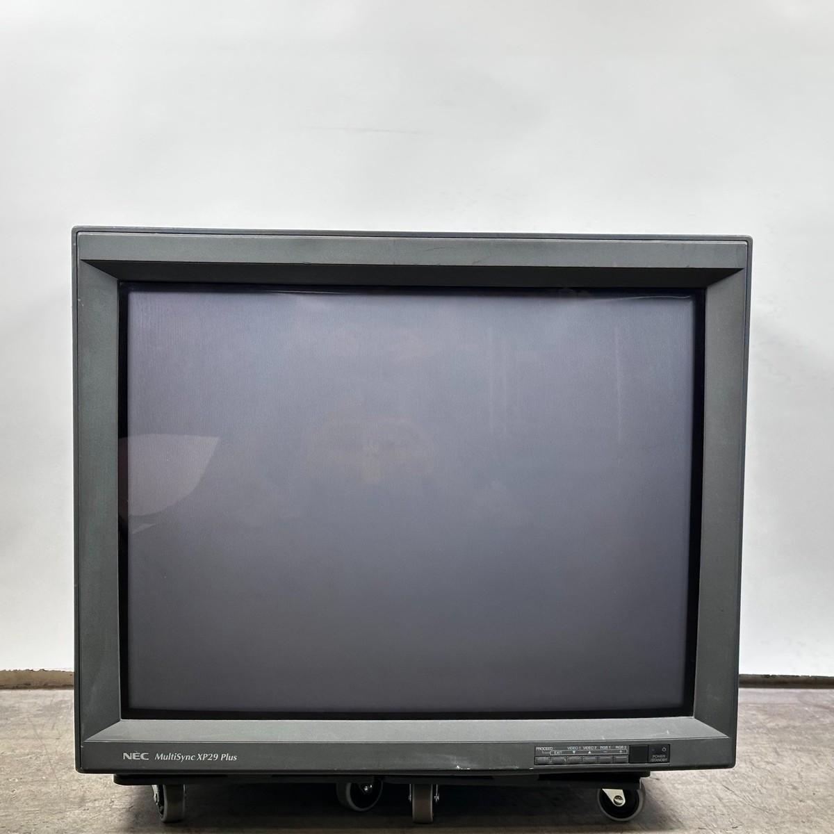 NEC XP-2990 XM29-Plus Multisync 29
