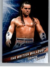 2019 Topps WWE Smackdown Live Wrestling Base Singles (Pick Your Cards)