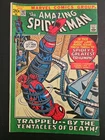 The Amazing Spider-Man #107 (Marvel Comics April 1972)