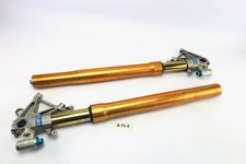 Öhlins für Aprilia Tuono V4 1100 Factory 2015 - Gabelrohre Federbeine A71E