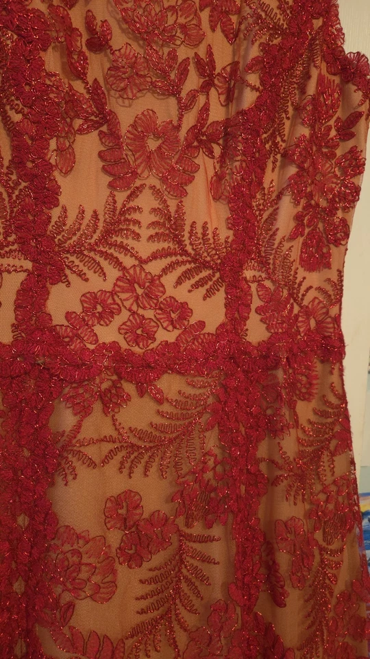 Vestido de Noche Formal Tadashi Shoji Rojo Encaje Desnudo Ilusión Talla 12 Elegante Foto 2 de 4