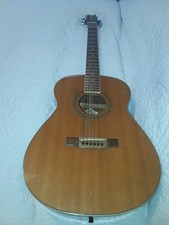 Washburn Acoustic Guitar F-21 Model