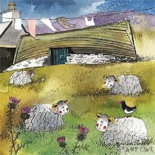sheep boat house card Alex Clark