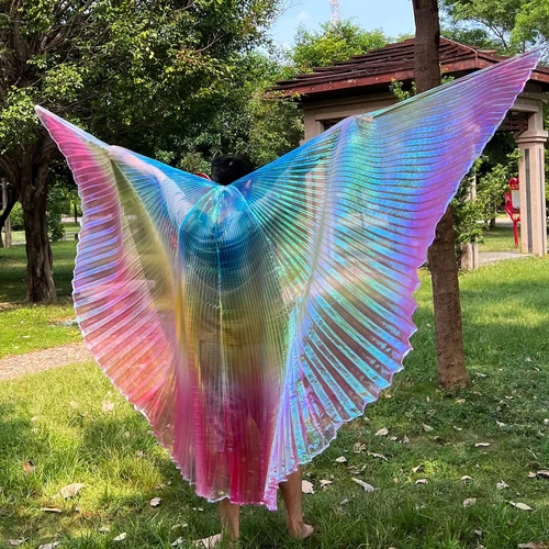 Transparent Belly Dance Wings Stage Performance Dancing Props - Picture 5 of 42