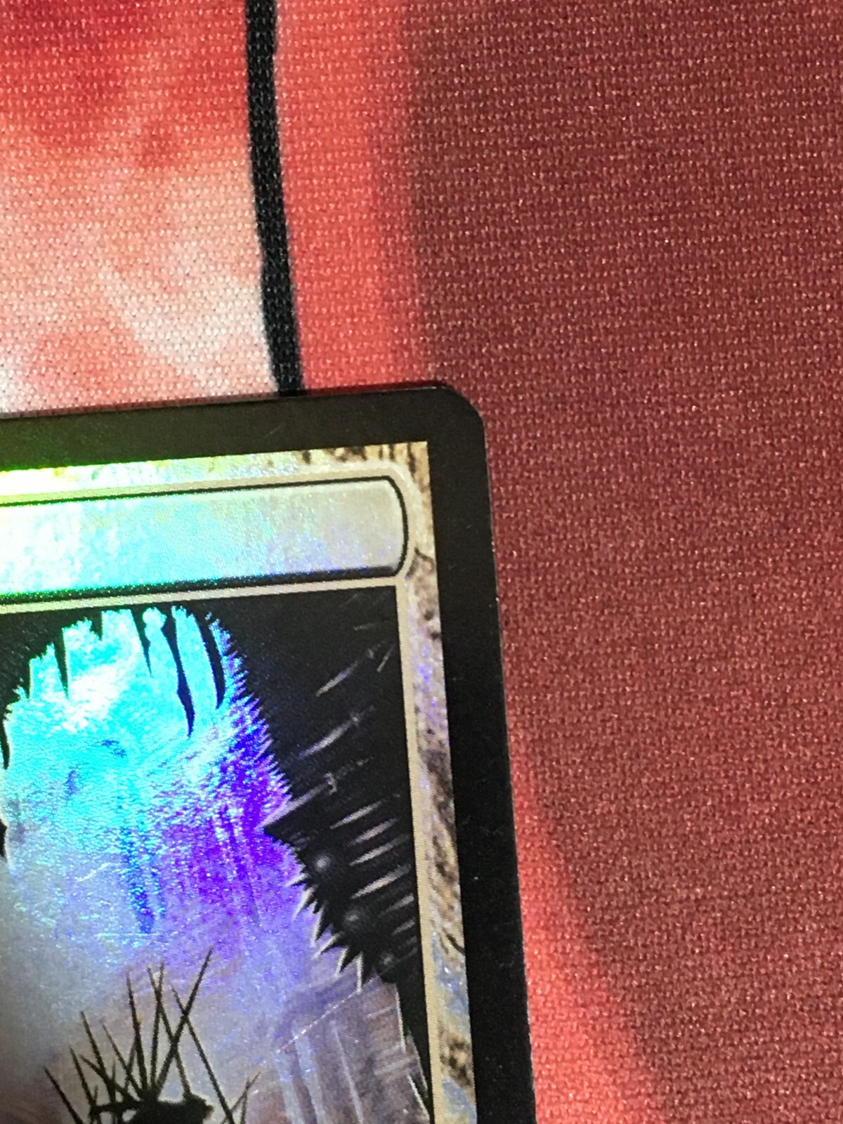 Picture 6 of 12